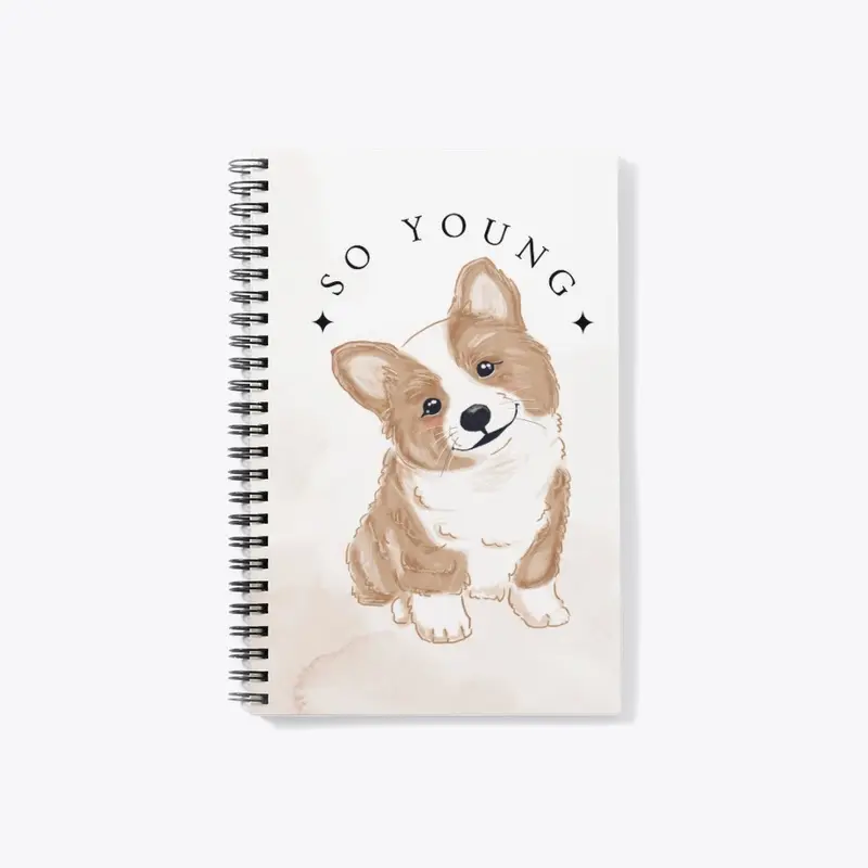 Corgi - So young