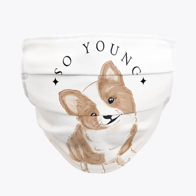 Corgi - So young